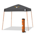 NEW Vista Instant Shelter (10' x 10')